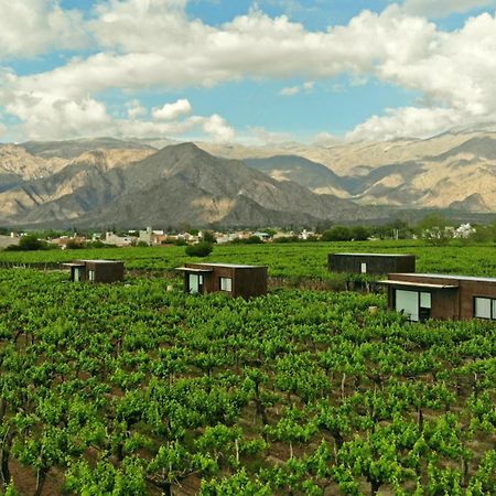 El Porvenir Wine Lodge Cafayate Dış mekan fotoğraf