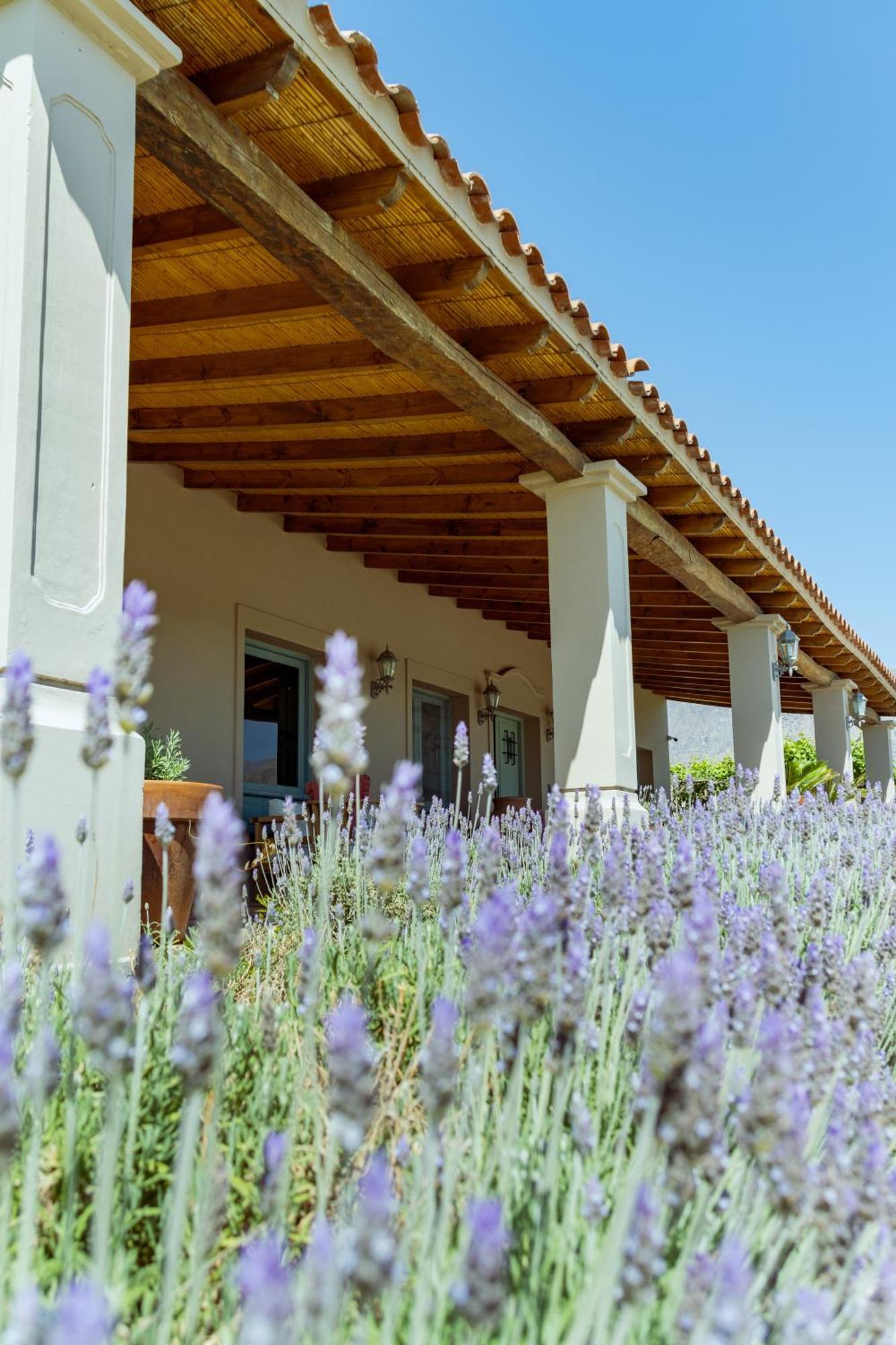 El Porvenir Wine Lodge Cafayate Dış mekan fotoğraf