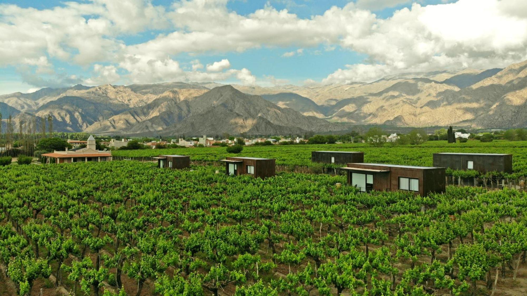 El Porvenir Wine Lodge Cafayate Dış mekan fotoğraf