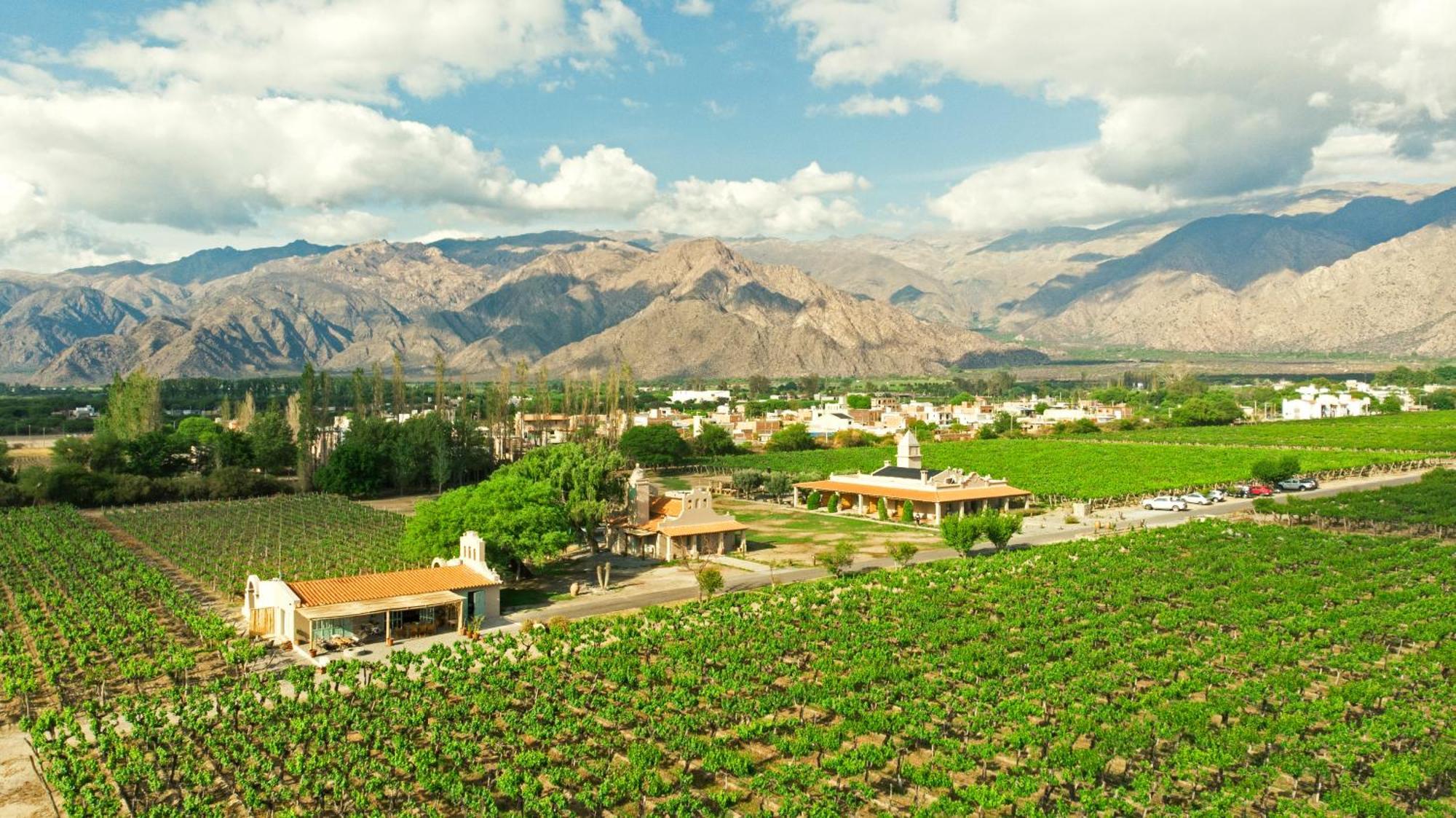 El Porvenir Wine Lodge Cafayate Dış mekan fotoğraf