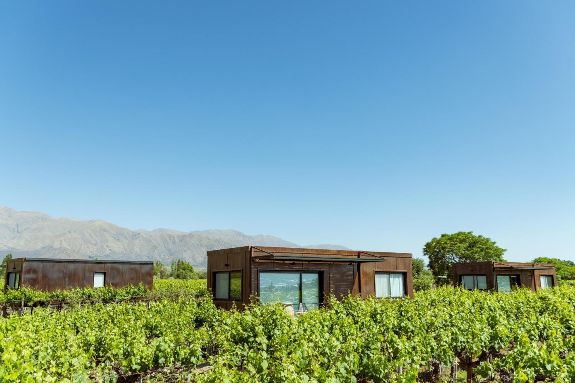 El Porvenir Wine Lodge Cafayate Dış mekan fotoğraf