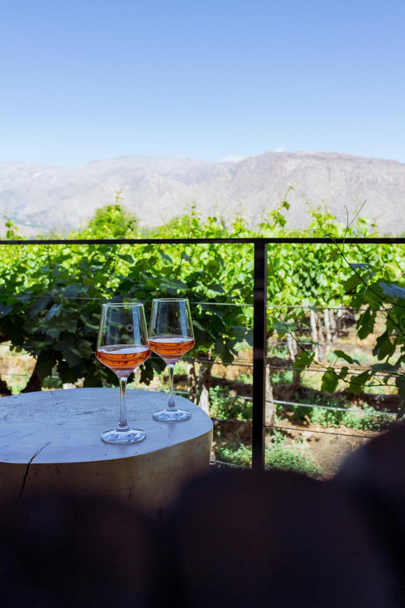 El Porvenir Wine Lodge Cafayate Dış mekan fotoğraf