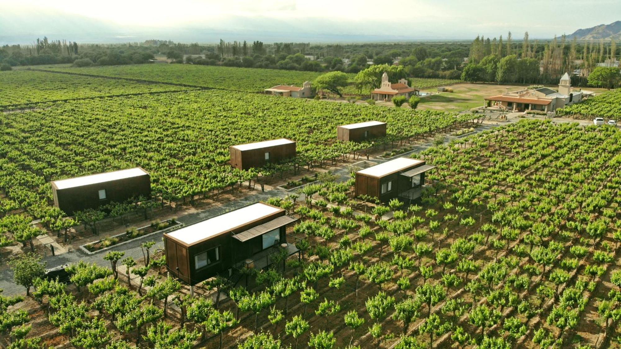 El Porvenir Wine Lodge Cafayate Dış mekan fotoğraf