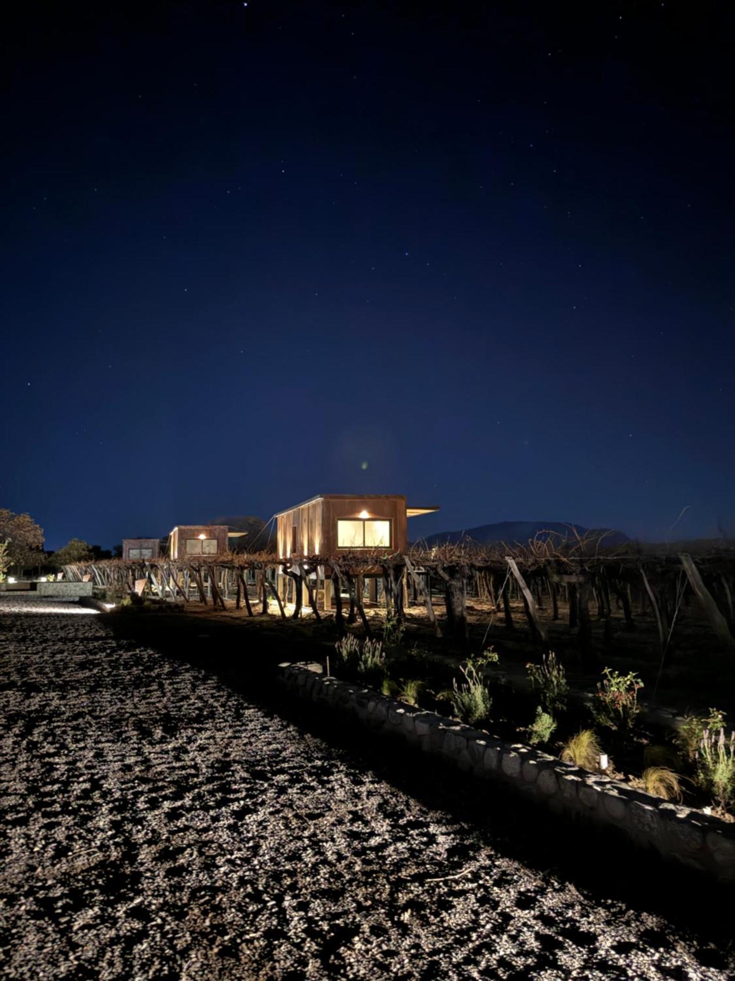 El Porvenir Wine Lodge Cafayate Dış mekan fotoğraf