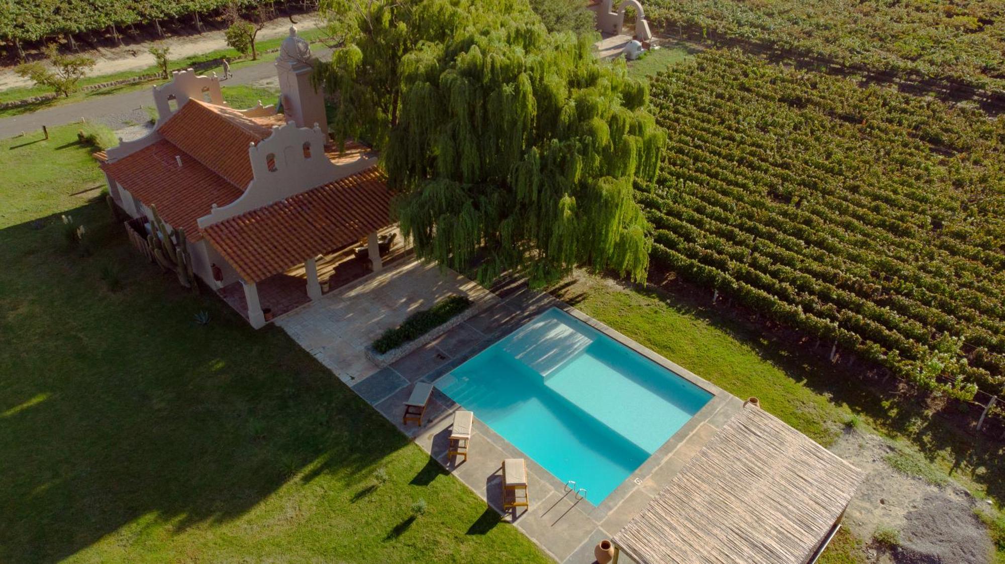 El Porvenir Wine Lodge Cafayate Dış mekan fotoğraf